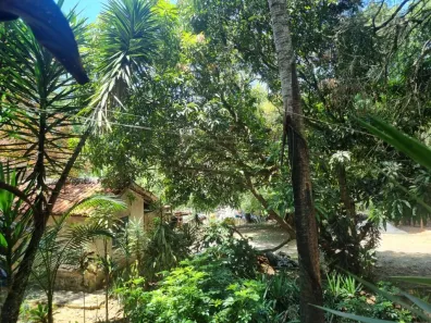 Lote/Terreno à venda, 7770m² no Jardim Caiapiá, Cotia