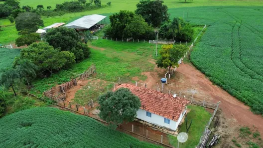 Fazenda/Sítio com 3 Quartos à venda, 3m² no , Cezarina