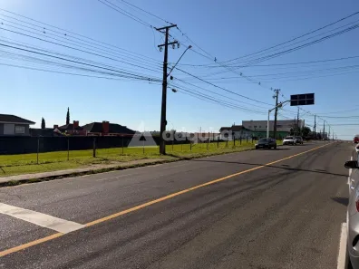 Lote/Terreno à venda, 2942m² no Orfãs, Ponta Grossa