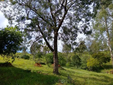 Fazenda/Sítio com 1 Quarto à venda, 90000m² no Monte Alegre, Vinhedo