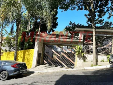 Sobrado com 5 Quartos à venda, 343m² no Vila Albertina, São Paulo