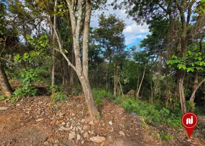 Lote/Terreno à venda, 12936m² no Mirante da Mata, Nova Lima