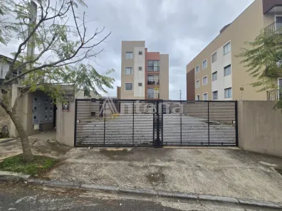 Apartamento com 2 Quartos para alugar, 42m² no Boneca do Iguaçu, São José dos Pinhais