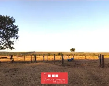 Fazenda/Sítio à venda, 14036000m² no Divino Espírito Santo, Mineiros