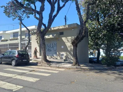 Ponto Comercial para alugar, 35m² no Jardim Felicidade (Zona Oeste), São Paulo