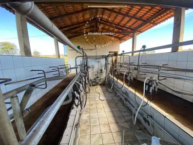 Fazenda/Sítio com 3 Quartos à venda, 180000m² no Área Rural de Anápolis, Anápolis