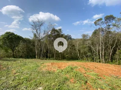 Lote/Terreno à venda, 9268m² no Areia Branca dos Assis, Mandirituba