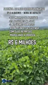 Fazenda/Sítio com 3 Quartos à venda, 37m² no Joaquim Cardoso, Itapuranga
