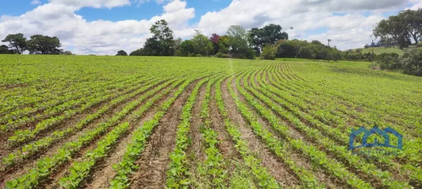 Fazenda/Sítio com 1 Quarto à venda, 595562m² no Área Rural de Itararé, Itararé