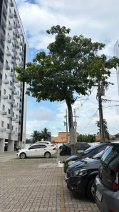 Apartamento com 2 Quartos para alugar, 67m² no Coqueiro, Belém