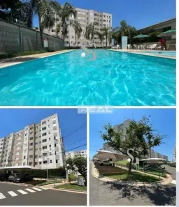 Apartamento com 2 Quartos para alugar, 45m² no Parque Yolanda (Nova Veneza), Sumaré