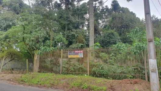 Lote/Terreno à venda, 540m² no Santa Felicidade, Curitiba