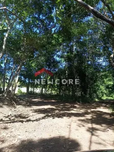 Lote/Terreno com 1 Quarto à venda, 2442m² no Praia do Forte, Mata de São João