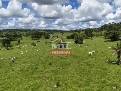 Fazenda/Sítio à venda, 500m² no Área Rural de Inhumas, Inhumas