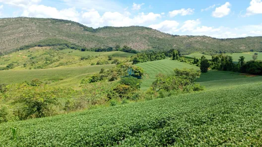 Fazenda/Sítio à venda, 26m² no Área Rural de Três Corações, Três Corações