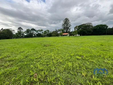 Fazenda/Sítio com 3 Quartos à venda, 160000m² no , PARANAPANEMA