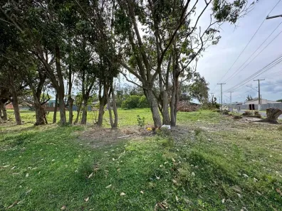 Lote/Terreno à venda, 520m² no Santa Teresinha, Imbé