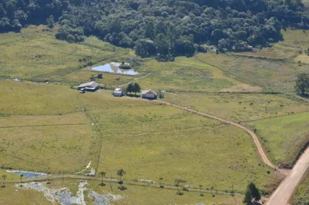 Fazenda/Sítio com 4 Quartos à venda, 119990m² no Centro, São Francisco de Paula
