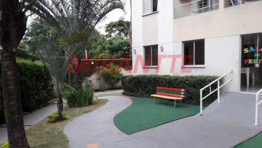 Apartamento com 2 Quartos à venda, 48m² no Vila Amélia, São Paulo
