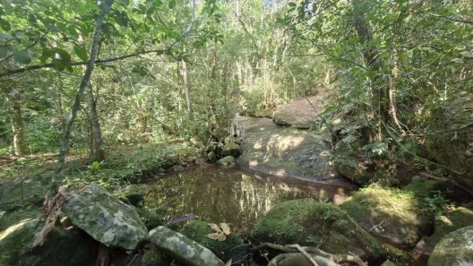 Lote/Terreno à venda, 7000m² no Ressacada, Garopaba