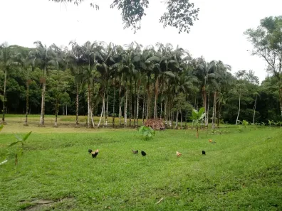 Fazenda/Sítio com 3 Quartos à venda, 22344m² no , Morretes
