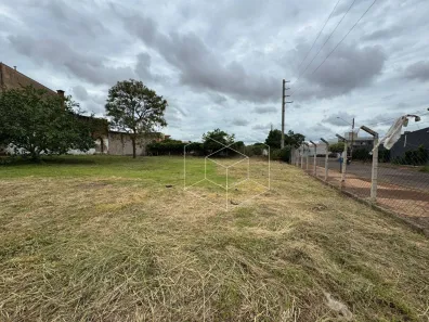Lote/Terreno à venda, 650m² no Jardim Vila Maria, Jaú