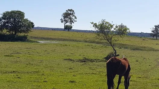 Fazenda/Sítio com 4 Quartos à venda, 120m² no Área Rural de Itapetininga, Itapetininga