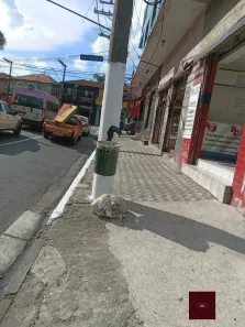 Sala Comercial para alugar, 120m² no Chácara Belenzinho, São Paulo