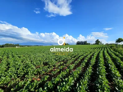 Fazenda/Sítio à venda, 180000m² no Camobi, Santa Maria
