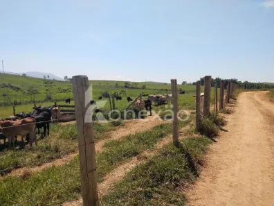 Fazenda/Sítio com 2 Quartos à venda, 249m² no Chácara Marambaia, Caçapava