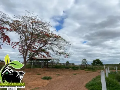 Fazenda/Sítio com 3 Quartos à venda, 5m² no , Ipameri