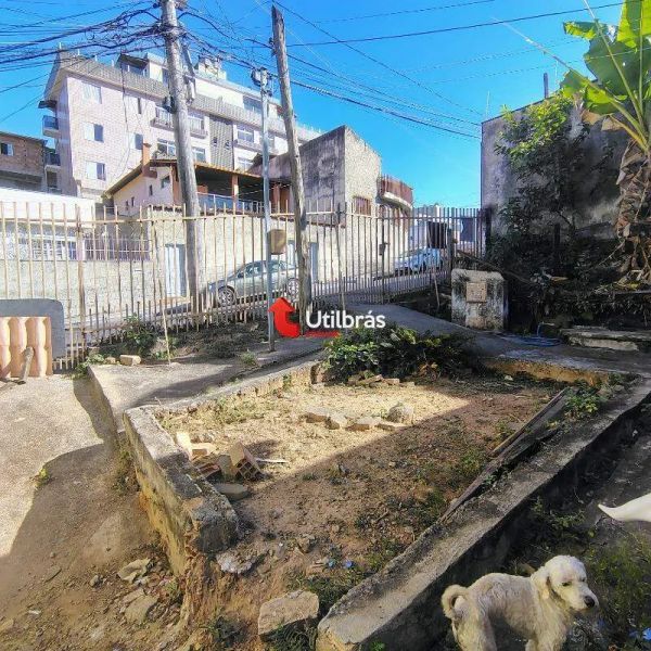 Foto 6