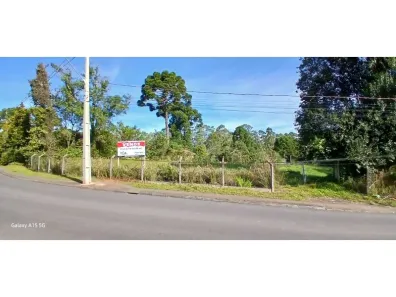 Lote/Terreno à venda, 4162m² no Vila Franca, Piraquara