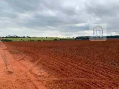Fazenda/Sítio à venda, 26620000m² no Centro, São José do Rio Preto