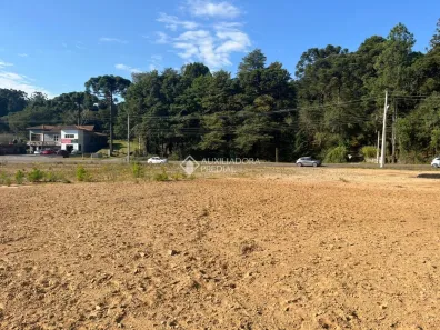 Lote/Terreno à venda, 10000m² no , Canela