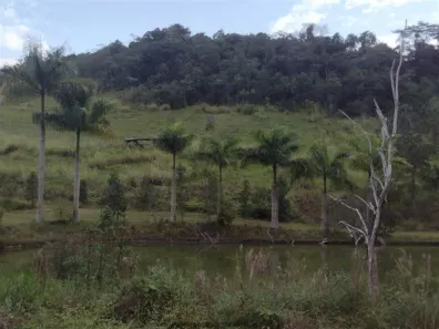 Fazenda/Sítio à venda, 128000m² no , Juquiá
