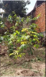 Lote/Terreno à venda, 187m² no Parque Jaguari (Fazendinha), Santana de Parnaíba