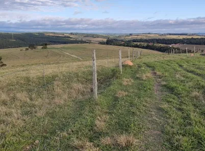 Fazenda/Sítio com 3 Quartos à venda, 150m² no , Alambari