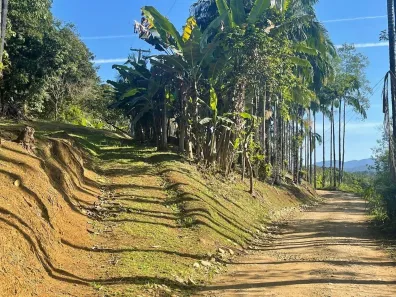 Lote/Terreno à venda, 20000m² no Colônia Sesmaria, Morretes