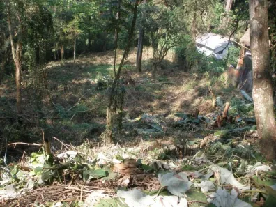Lote/Terreno à venda, 3351m² no Tucuruvi, São Paulo