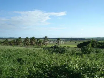 Lote/Terreno à venda, 98844m² no Praia da Pipa, Tibau do Sul