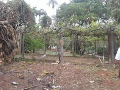 Lote/Terreno à venda, 1551m² no Horto Florestal, São Paulo