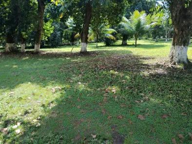 Fazenda/Sítio com 5 Quartos à venda, 43000m² no Aldeia dos Camarás, Camaragibe