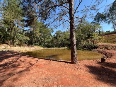 Fazenda/Sítio à venda, 8300m² no Caioçara, Jarinu