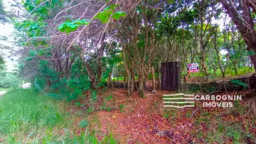 Fazenda/Sítio com 1 Quarto à venda, 3000m² no Caçapava Velha, Caçapava