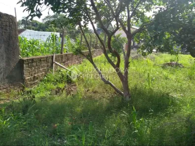 Lote/Terreno à venda, 286m² no Primavera, Novo Hamburgo