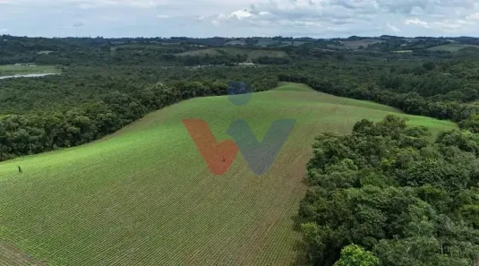 Fazenda/Sítio com 1 Quarto à venda, 242000m² no Fazenda Velha, Araucária