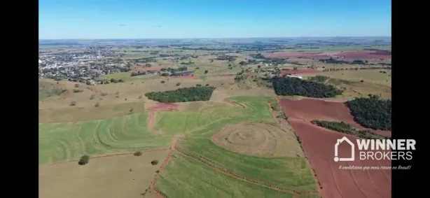 Fazenda/Sítio com 1 Quarto à venda, 532400m² no Alto Alegre, Colorado