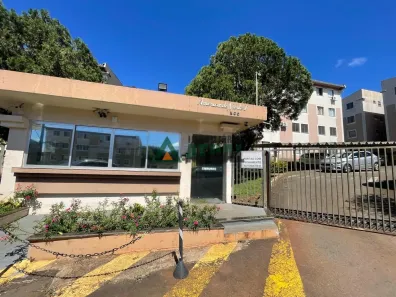 Apartamento com 2 Quartos à venda, 57m² no Jardim das Américas, Londrina