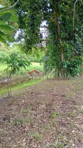 Lote/Terreno à venda, 330m² no Cibratel II, Itanhaém